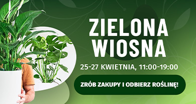 AKS-zielona-wiosna-390×208