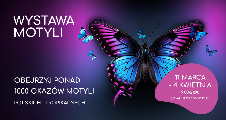 20250310_Wystawa_motyli_750